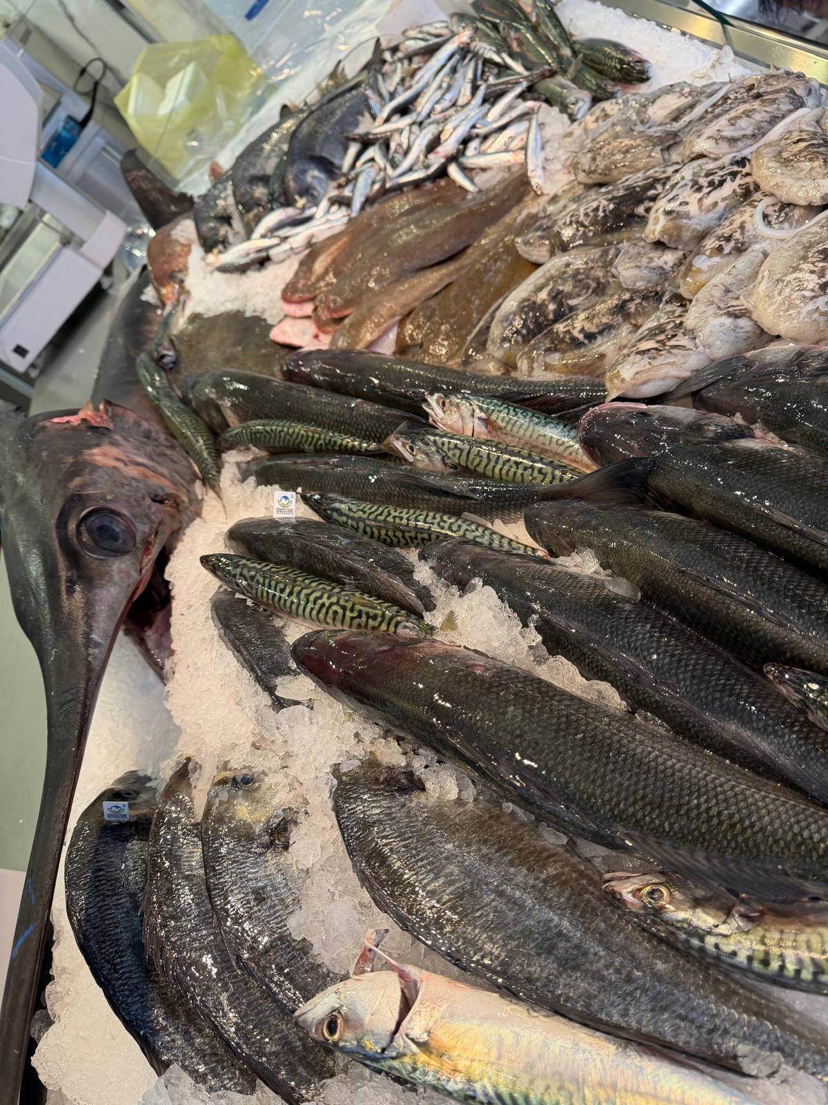 Pesce spada e sgombri